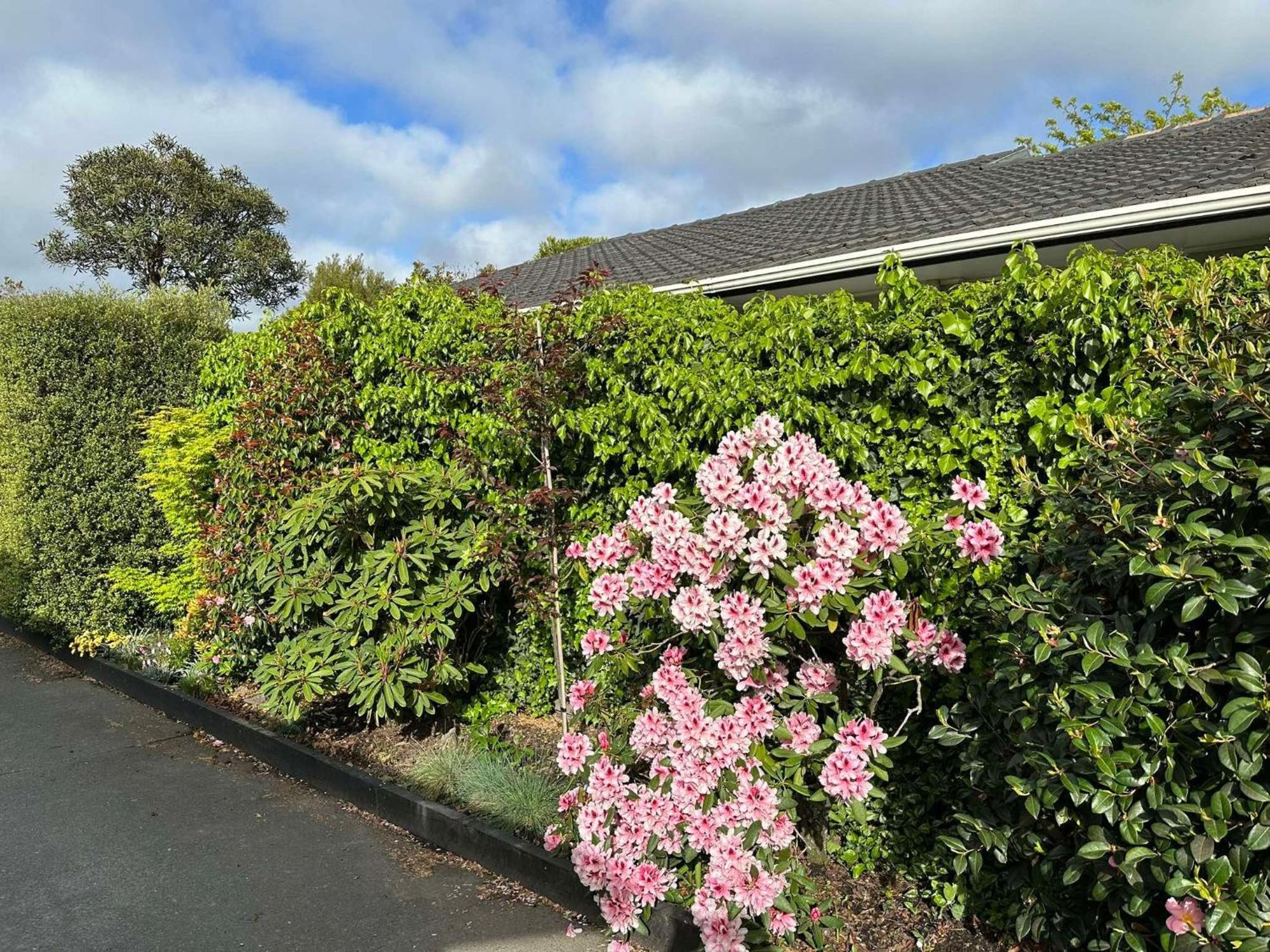 The Airport Homestay House Christchurch Dış mekan fotoğraf