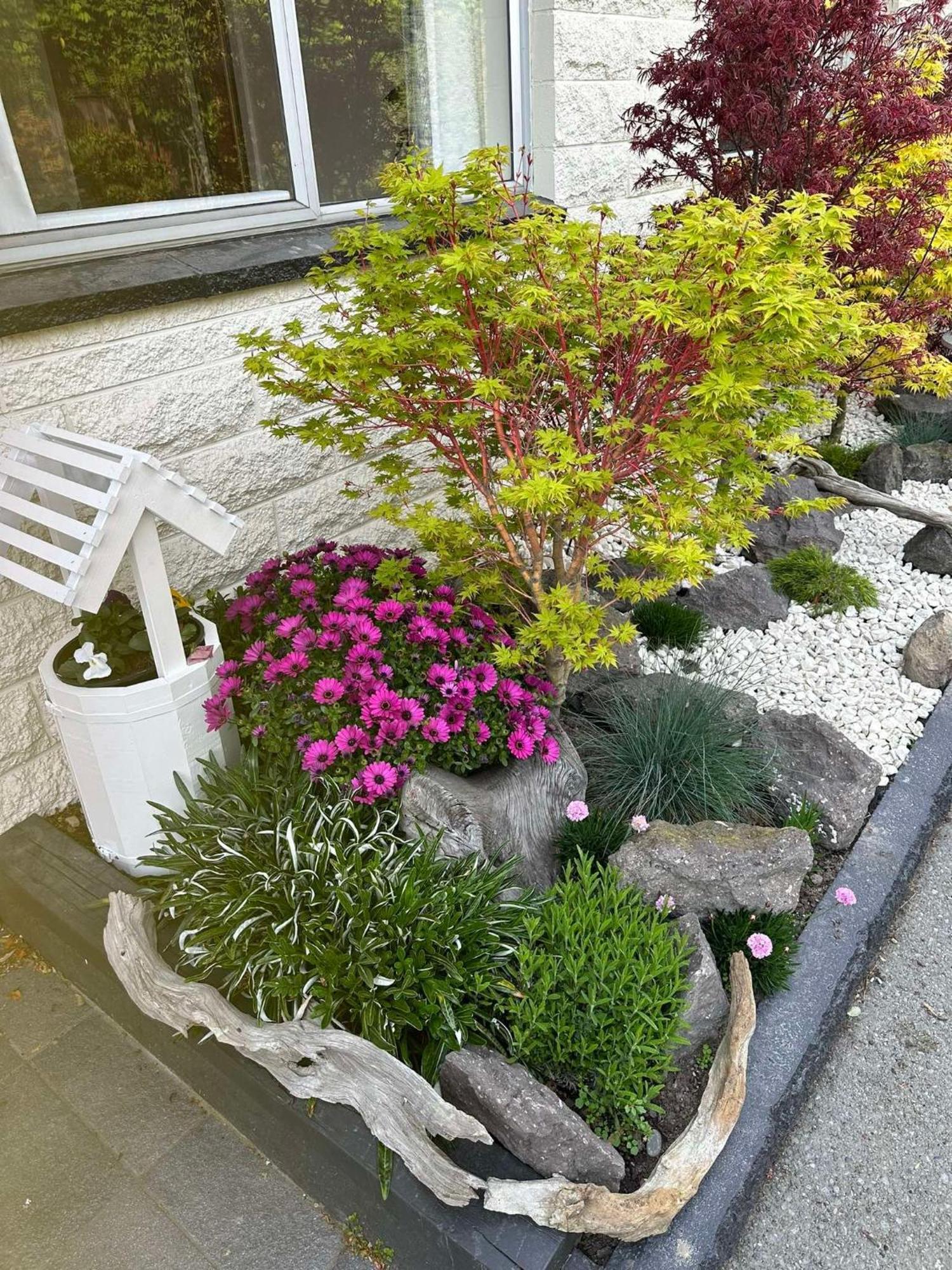 The Airport Homestay House Christchurch Dış mekan fotoğraf